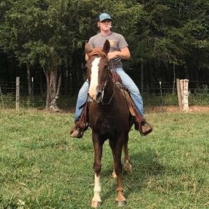 Meet your Posher, Jacob